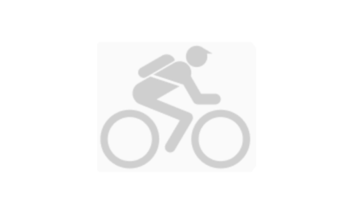  Женский велосипед Merida Merida Crossway 100 Lady (2021) 2021